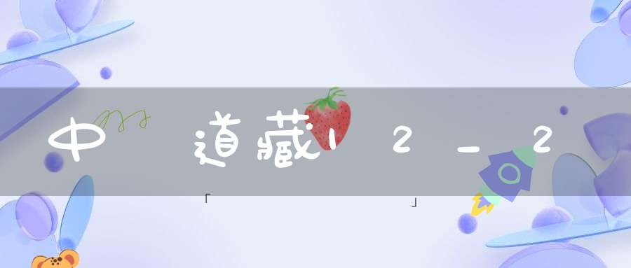 中華道藏12_2