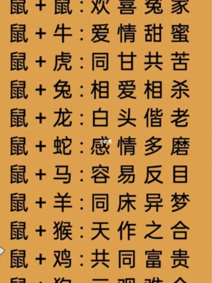 鼠的最佳屬相婚配表 生肖鼠最佳配偶屬相