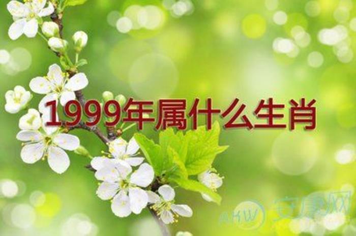 1999年出生的人是什么生肖 1999年出生的屬什么