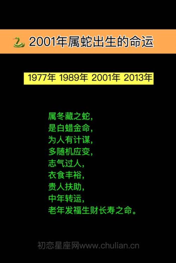 蛇年出生的人命運如何·男人篇 蛇年出生的人命運如何