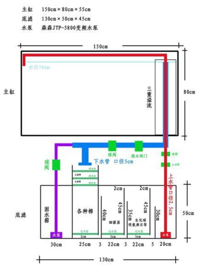 魚缸的擺放位置在哪 魚缸過濾材料擺放順序