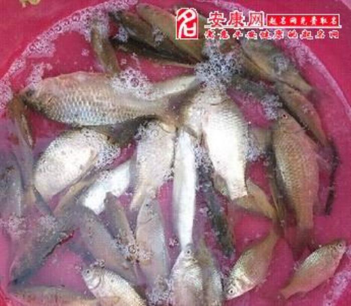 夢見好多魚是怎么回事和現實有關系嗎 女人夢見捉到好多魚