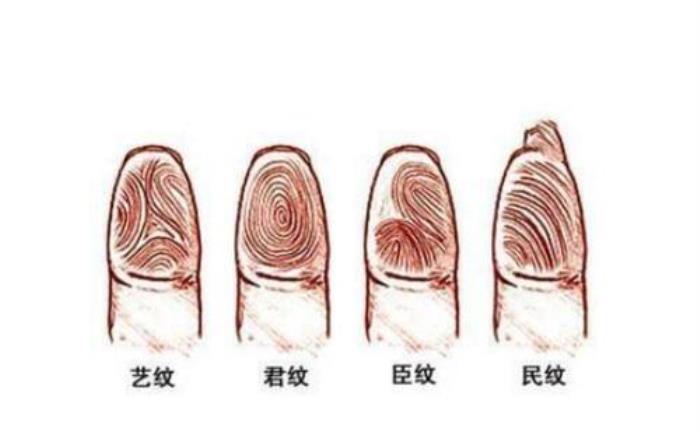 九斗一簸箕的男人婚姻命運 九個斗的人適合干什么