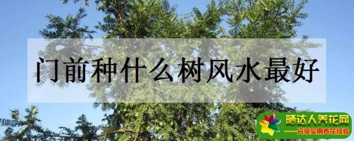 房子周邊應該種什么樹木風水好 房屋周邊風水和樹木