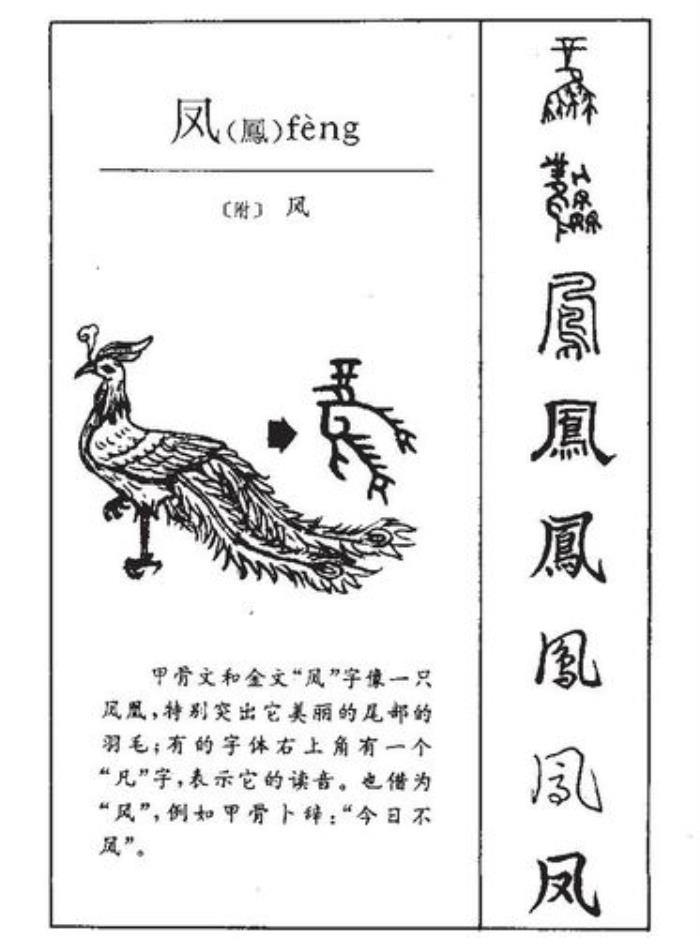 鳳字五行屬什么 鳳字的含義 鳳的意思及寓意