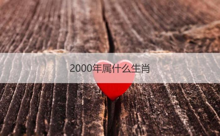 2000年的生肖人性格 2000年是屬什么年的