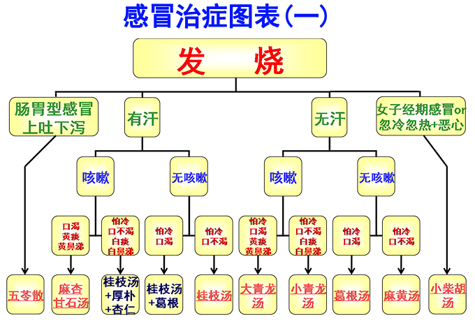 倪海廈經方治感冒簡易圖表(圖1)