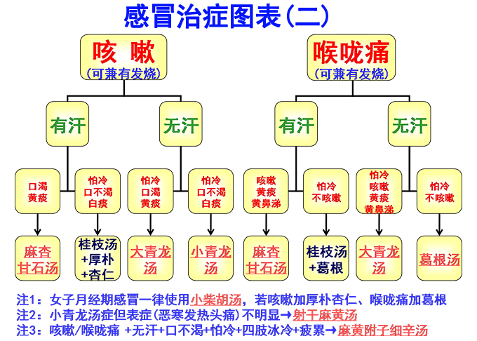 倪海廈經方治感冒簡易圖表(圖2)