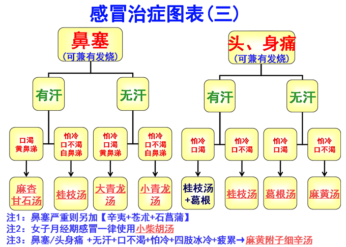 倪海廈經方治感冒簡易圖表(圖3)