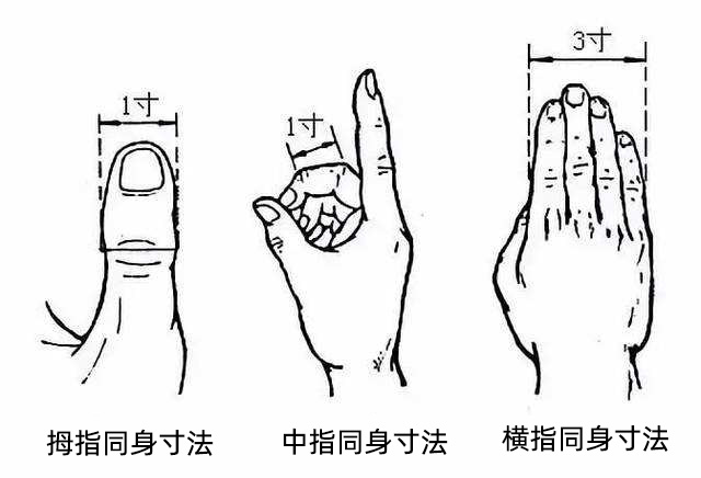 手少陰心經:通里穴